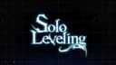 Solo leveling